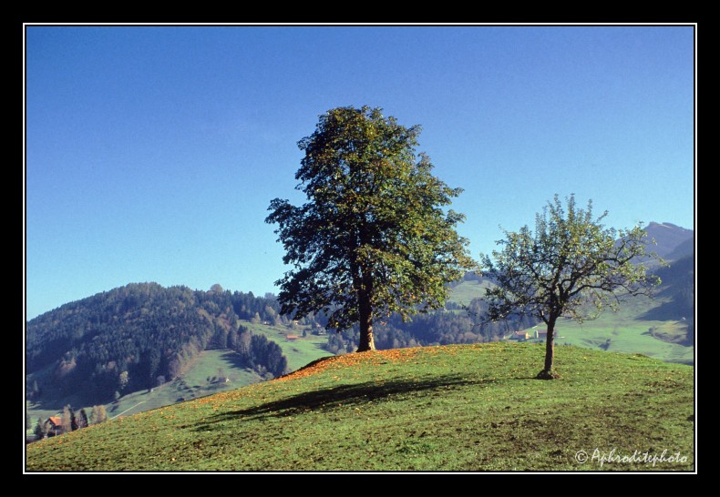 18 Typische Landschaft